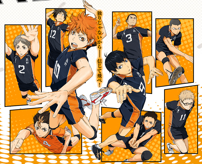 Haikyuu т и. Карасуно Кагеяма. Шоё Хината и Карасуно.